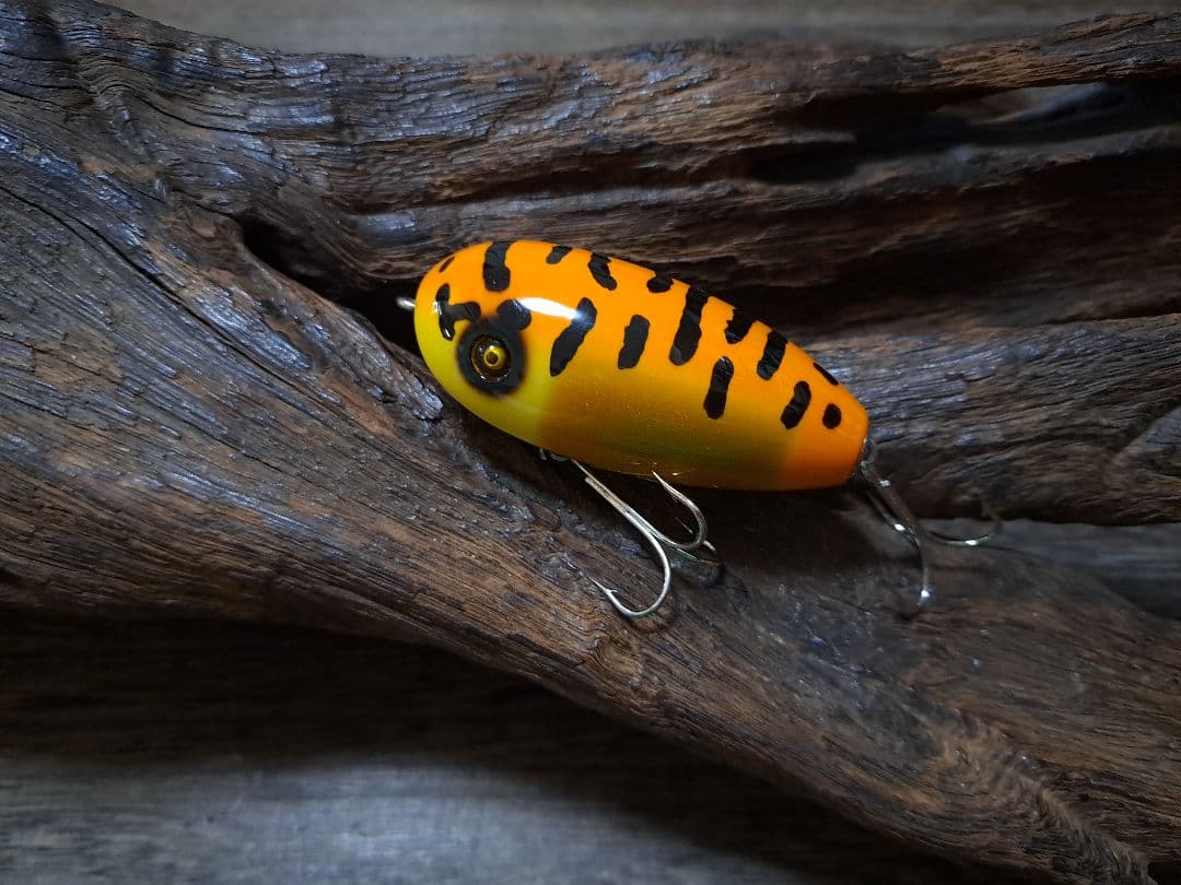 道楽　DOWLUCK　ドウラク　ラブホタル　イエローコーチドッグ　タイガー系