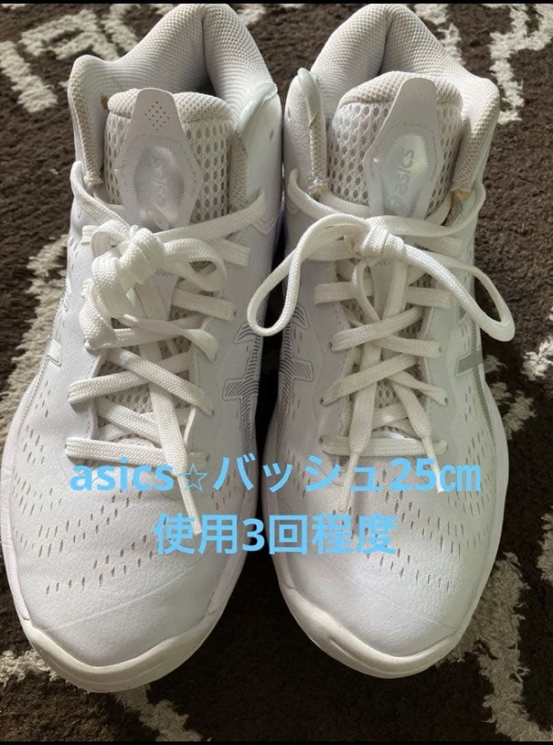使用3回asicsバッシュ25㎝