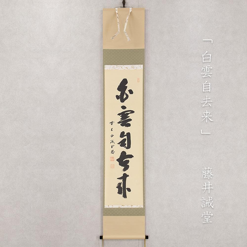 藤井誠堂「白雲自去来」茶掛一行書 掛軸 大徳寺515世管長 三玄院住職