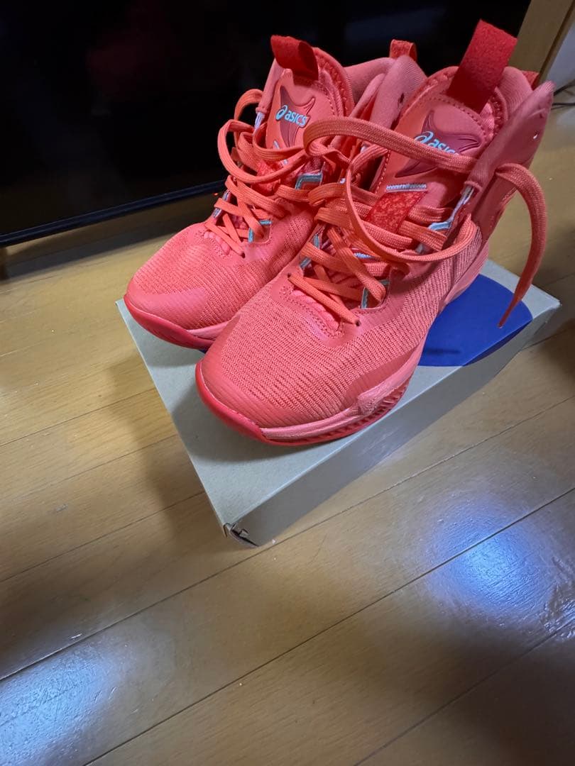 ASICS ノヴァサージ3 2回ほど使用 インソールは未使用