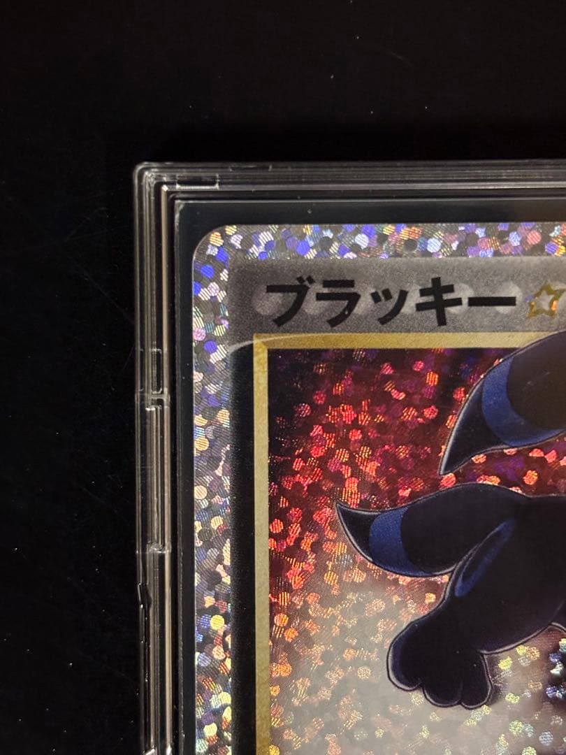 【センタリング◎】ブラッキー☆プロモ 25th ANNIVERSARY 極美品