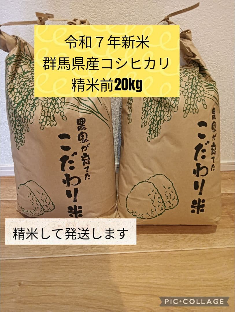 お米　群馬県産コシヒカリ精米前20キロ 令和7年新米