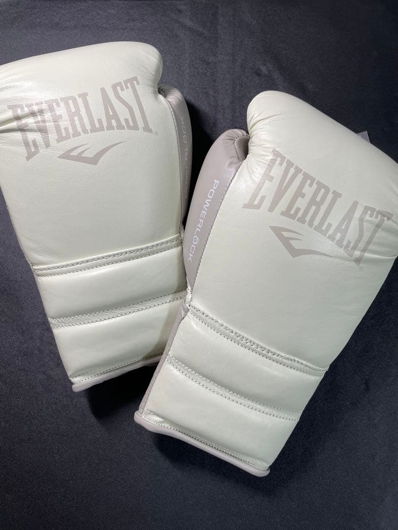 エバーラストパワーロック2プロファイトグローブ
