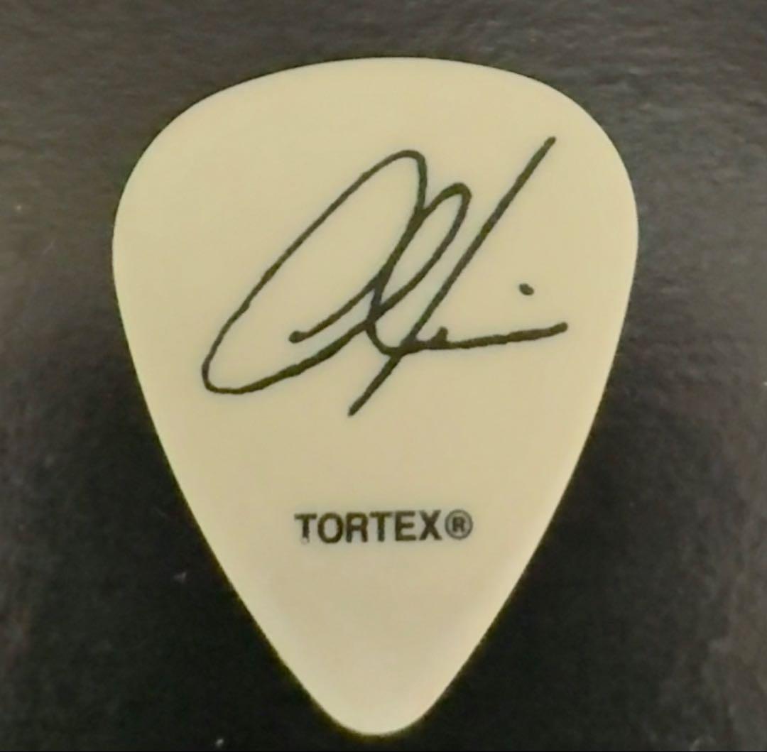 マルーン5 ギターピック　Maroon 5