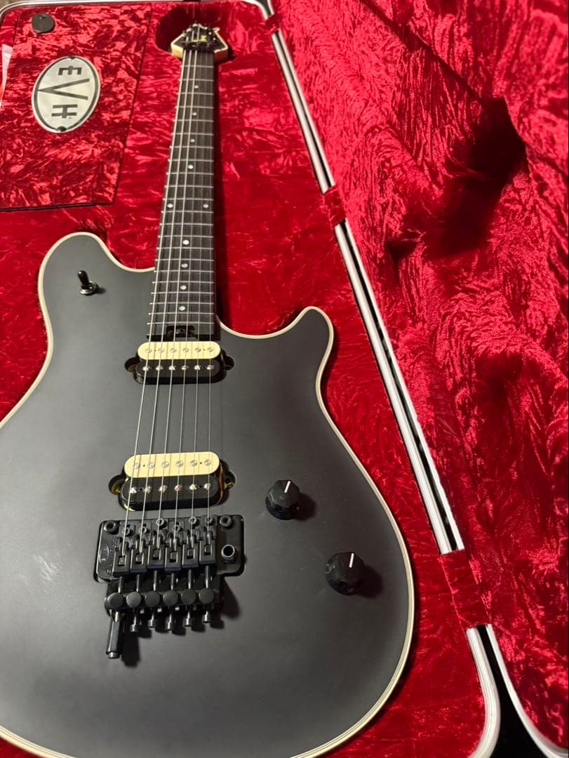 MRT　EVH Wolfgang USA SB