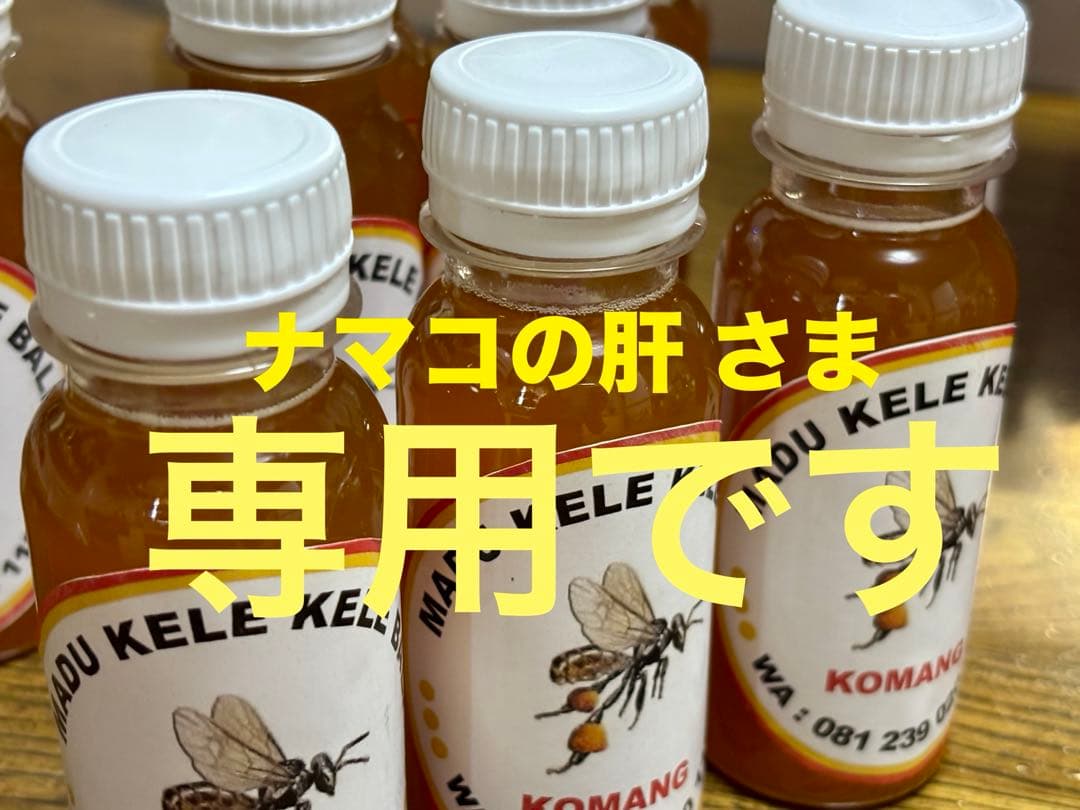 ナマコの肝さま 針なしミツバチの蜂蜜(完全非加熱)9本