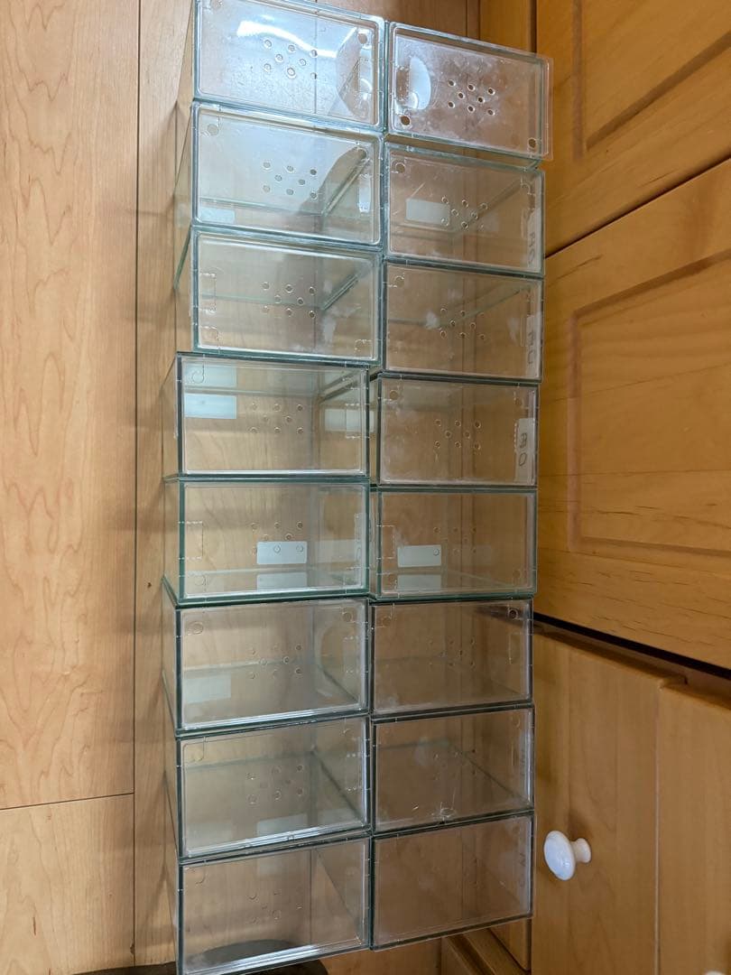 ショーベタコレクションケースM 20個まとめて