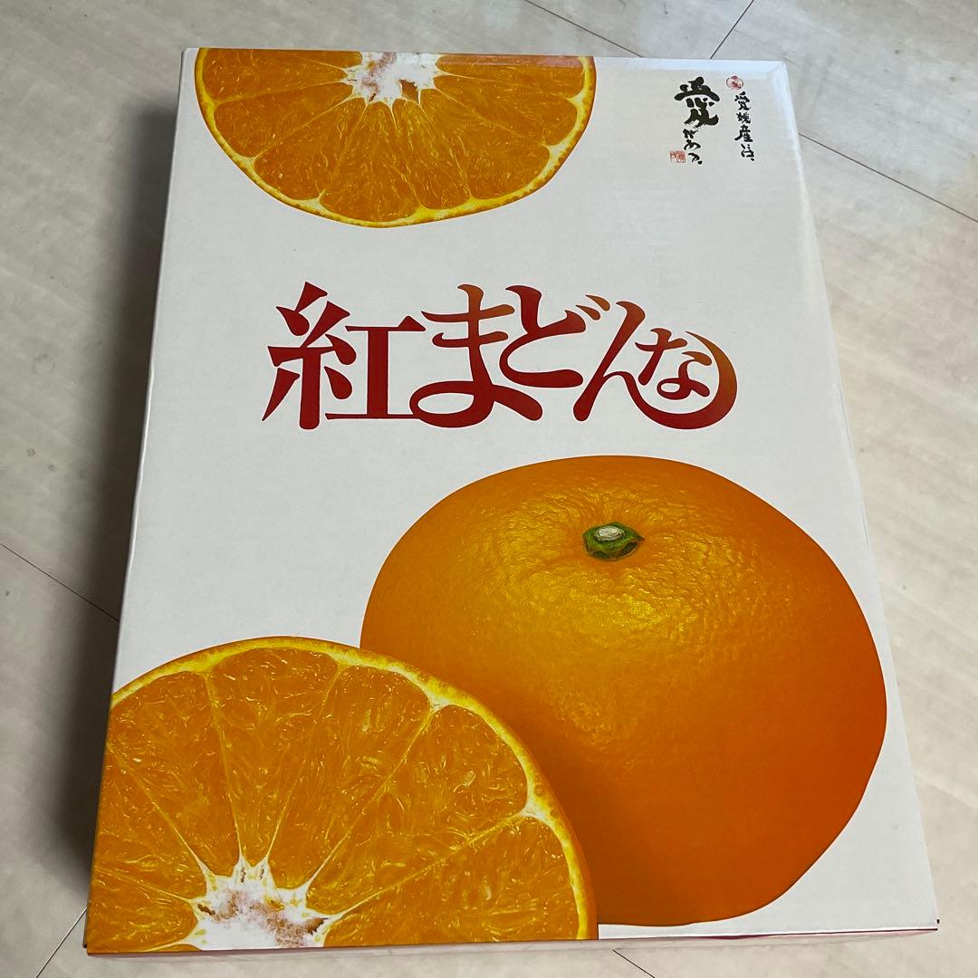 愛媛県産 紅マドンナ 高級フルーツ みかん 紅まどんな。