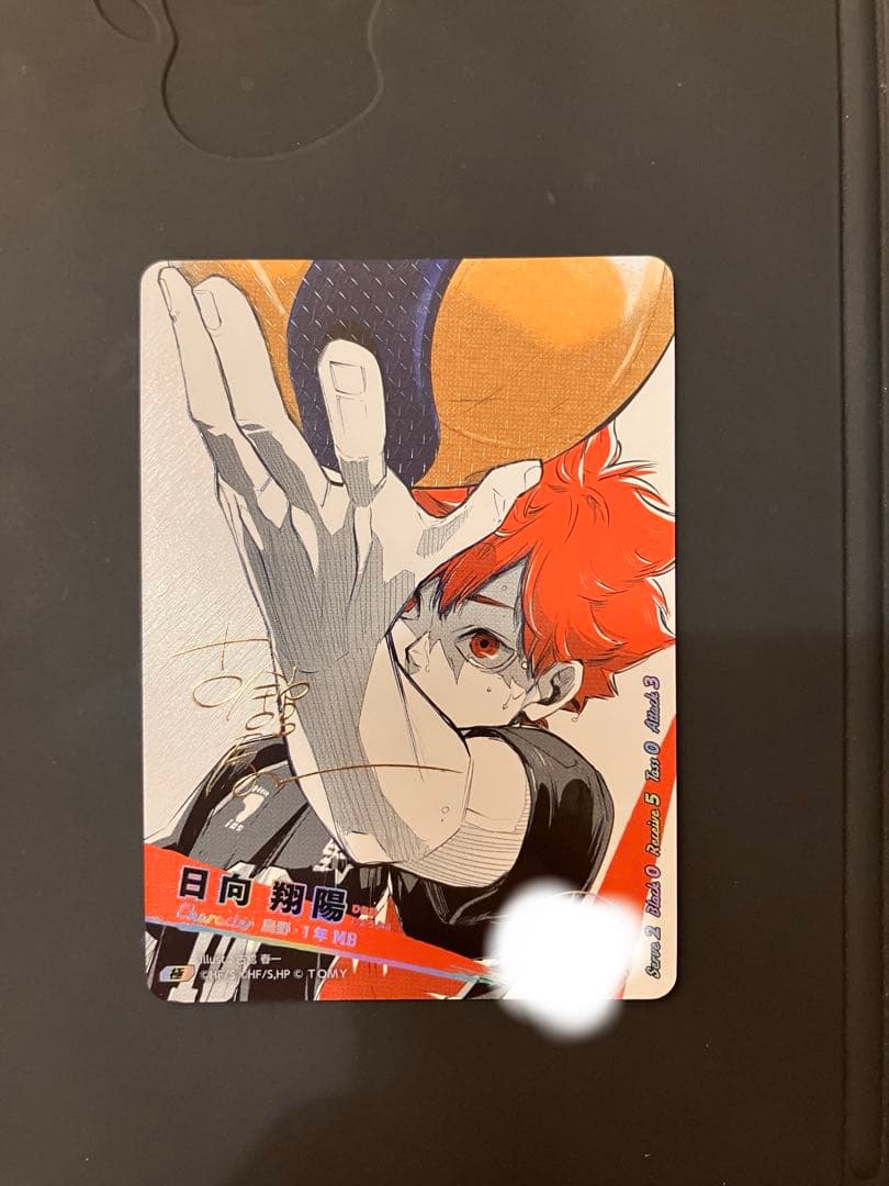 ハイキュー!! 日向翔陽 トレーディングカード バボカ　サイン入り