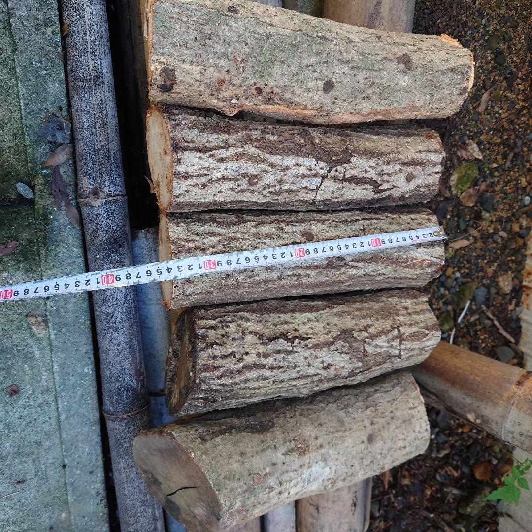 原木栽培　原木椎茸栽培キッド　No.10 大5本