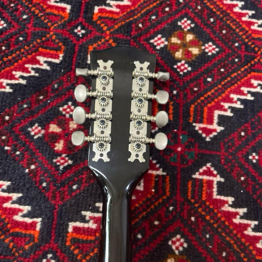 JUMBO 田原楽器　フラットマンドリン