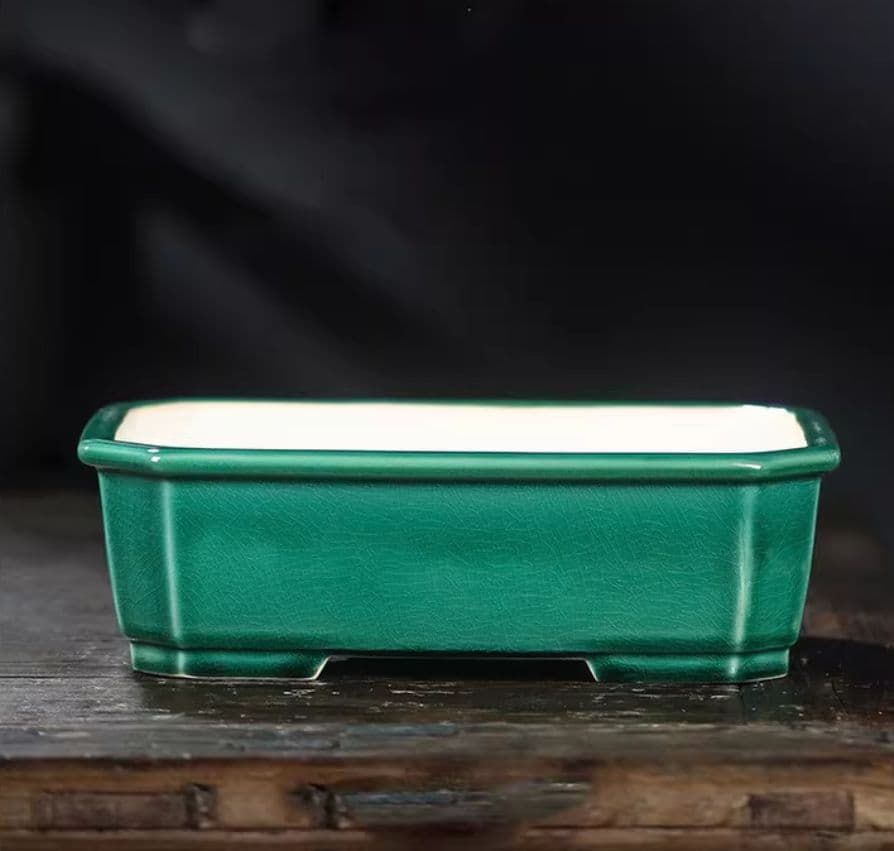 盆栽鉢 青磁鉢 山野草鉢 多肉植物 植木鉢 小品大品盆栽鉢 陶器鉢置物