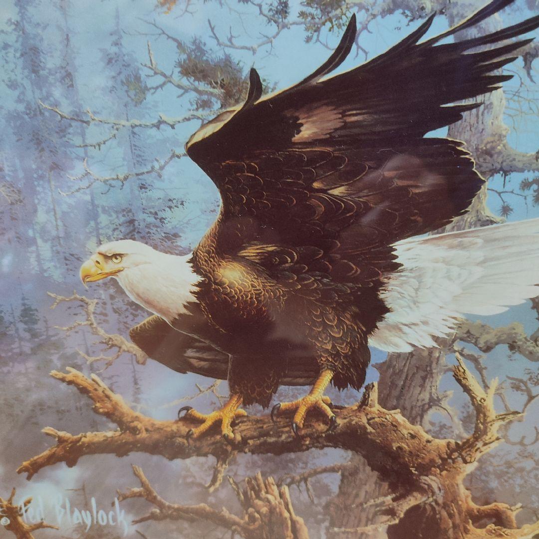 テッド・ブレイロック　ロッキーマウンテン　ジグソーパズル　1000ピース