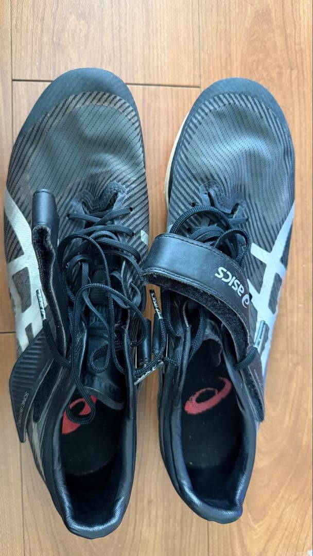 アシックス ソニックスカイプロ 28cm