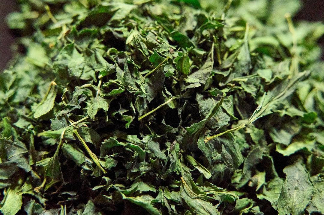 【業務用1kg】京都和束町産のオーガニック抹茶缶（シングルオリジン）