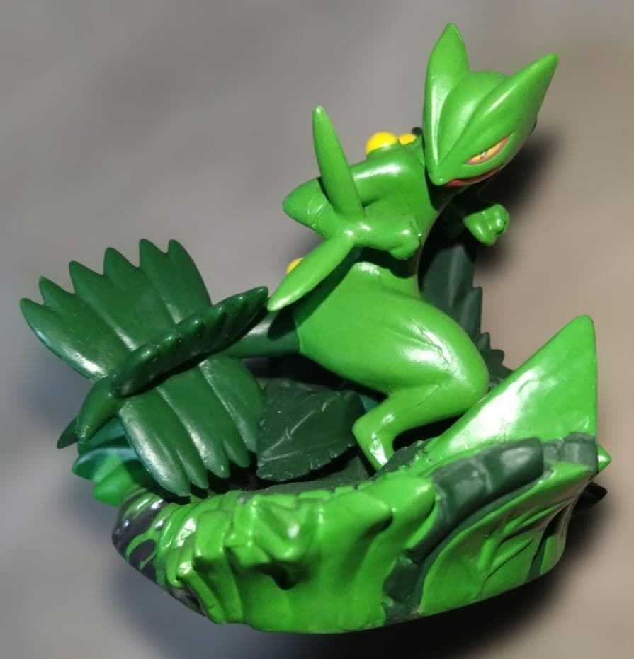 ポケモン　バトルコロシアム　ジュカイン