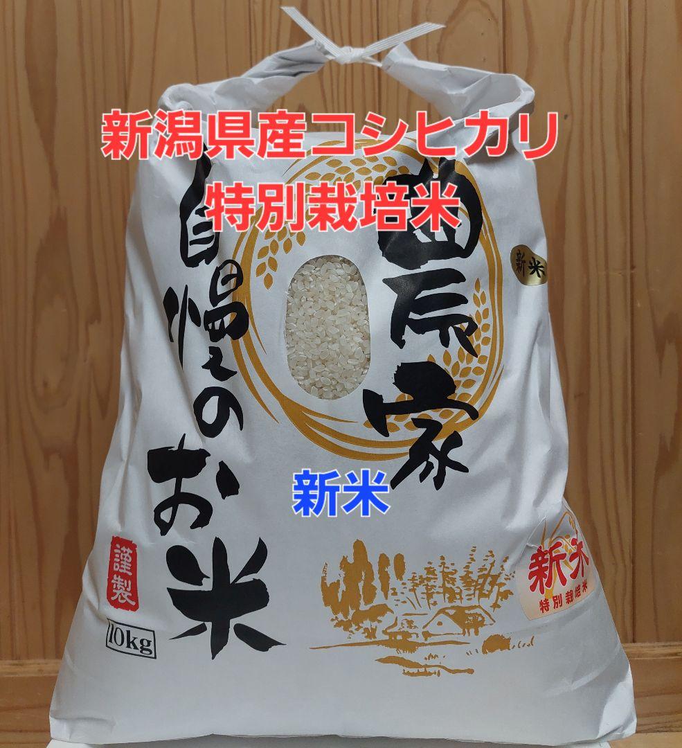 新潟県産コシヒカリ 特別栽培米 10kg（従来コシヒカリ）