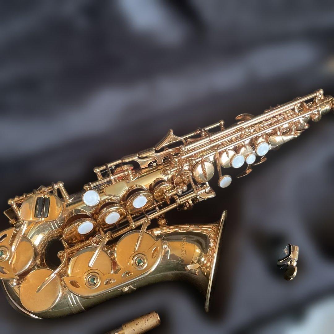 playtech サウンドハウスPTSS－200Cカーブドソプラノ