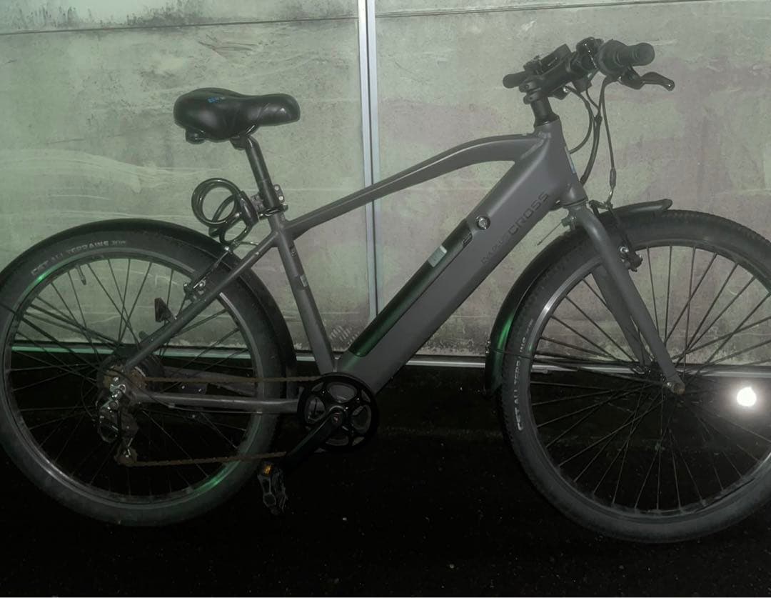 スポーツタイプ 電動アシスト自転車 グレー