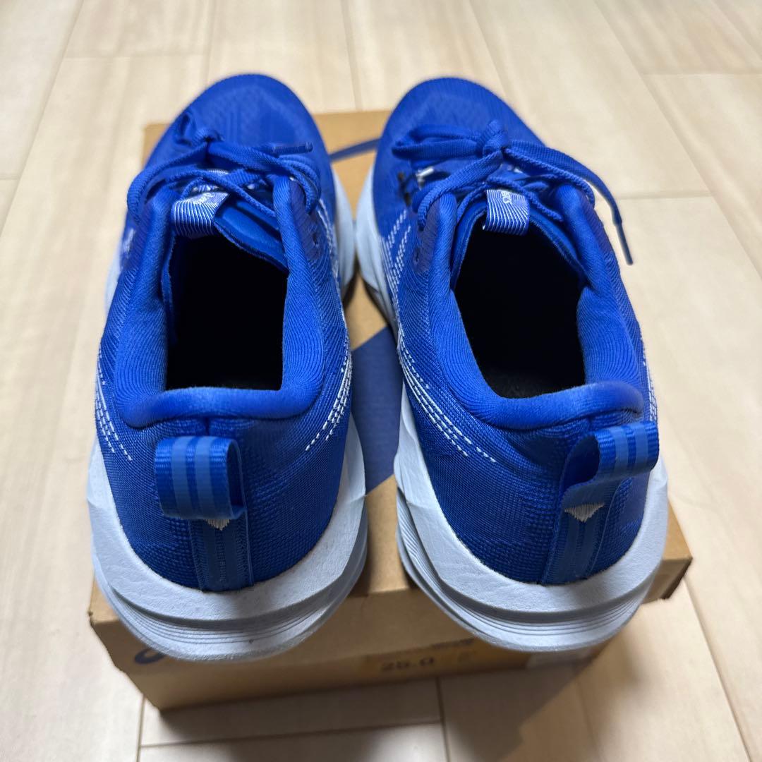 K*C様 【箱有り】ASICS NOVABLAST 5 メンズ　25.0cmワイ