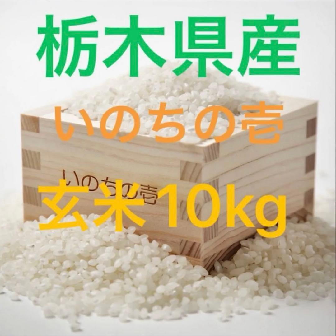 栃木県産農家直売いのちの壱玄米10kg