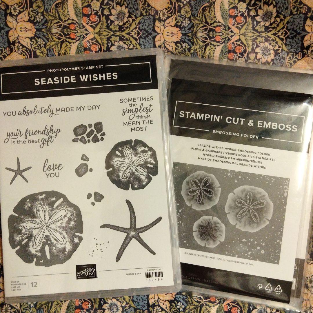 １点限り♡未開封　新作ハイブリッドエンボスフォルダー&スタンプ　スタンピンアップ