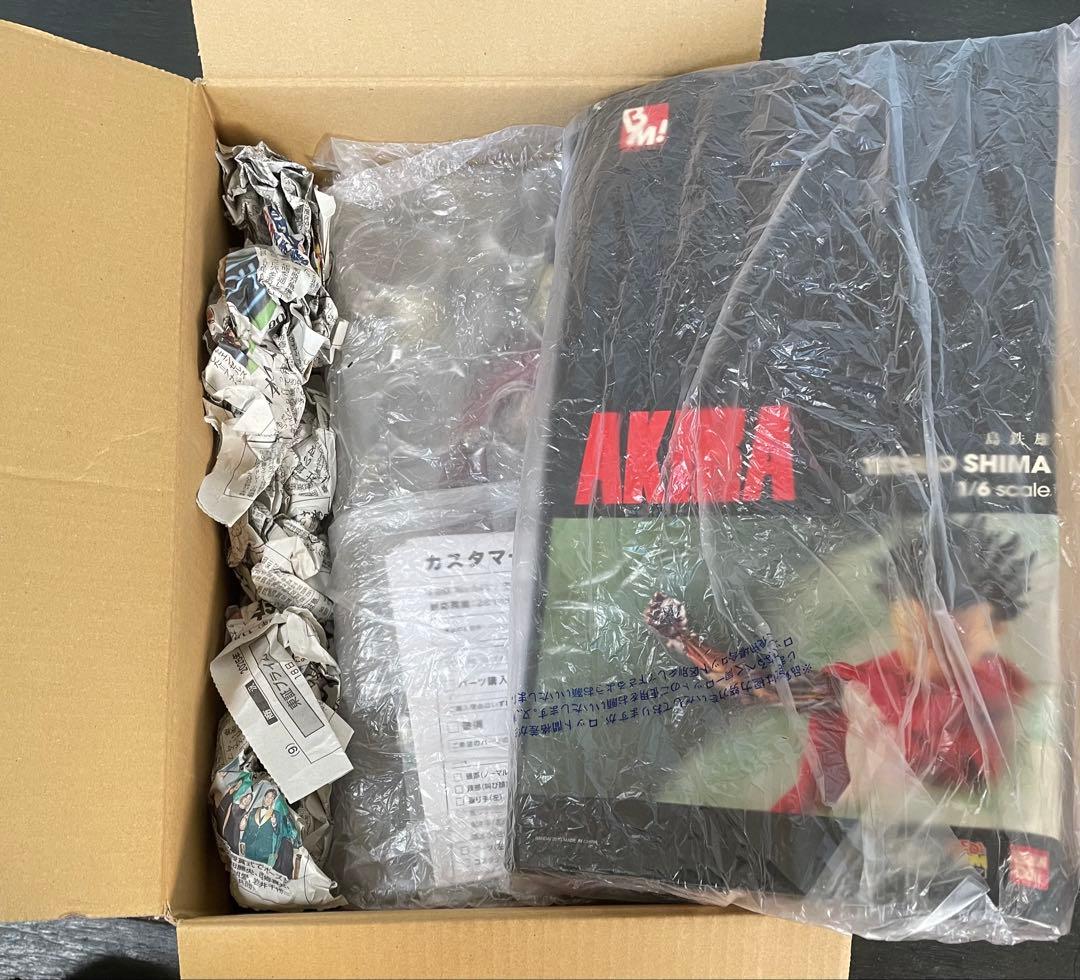 【説明欄必読】PROJECT BM 島鉄雄 1/6スケール AKIRA アキラ