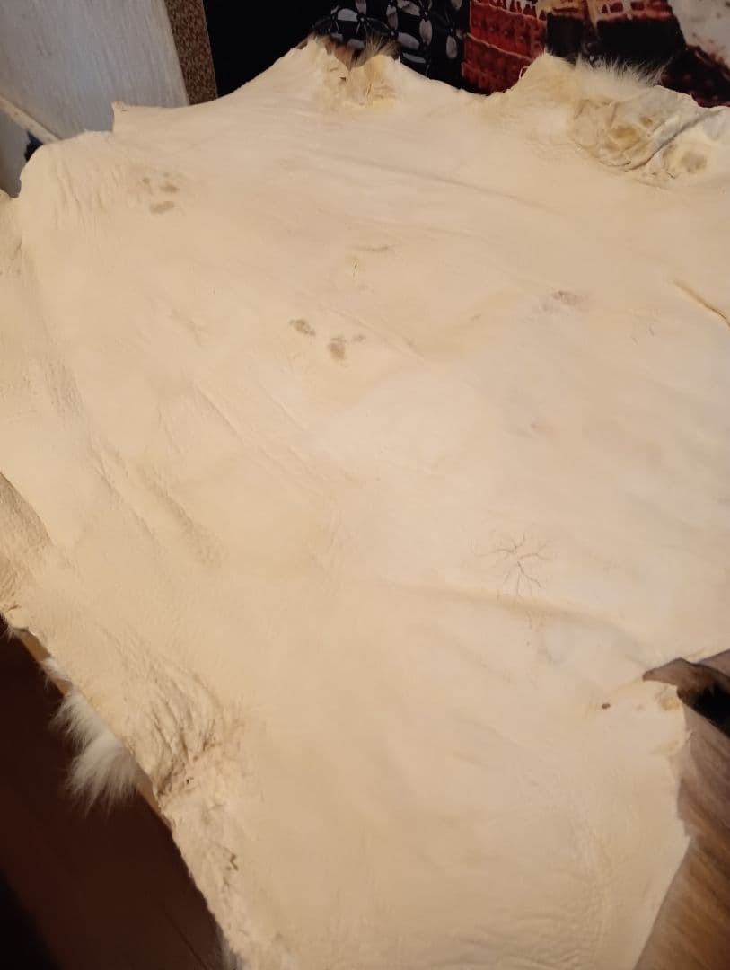 大型サイズ端午の節句伝統的な日本の武士の高級兜飾り装大桐櫃２５号サイズ置物