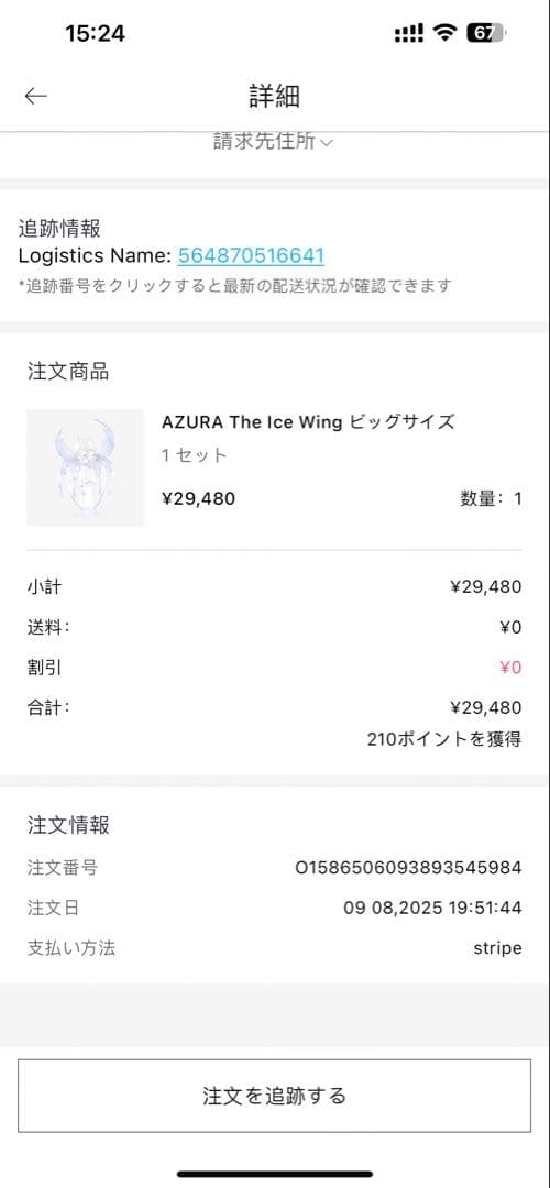 POP MARTポップマートAZURA The Ice Wing ビッグサイズ