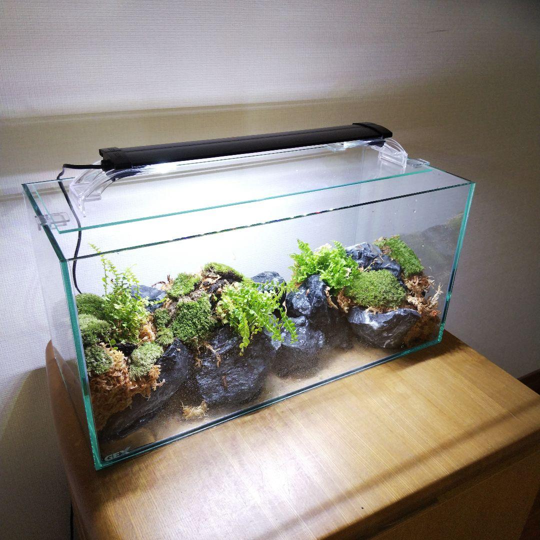 もじのすけページ