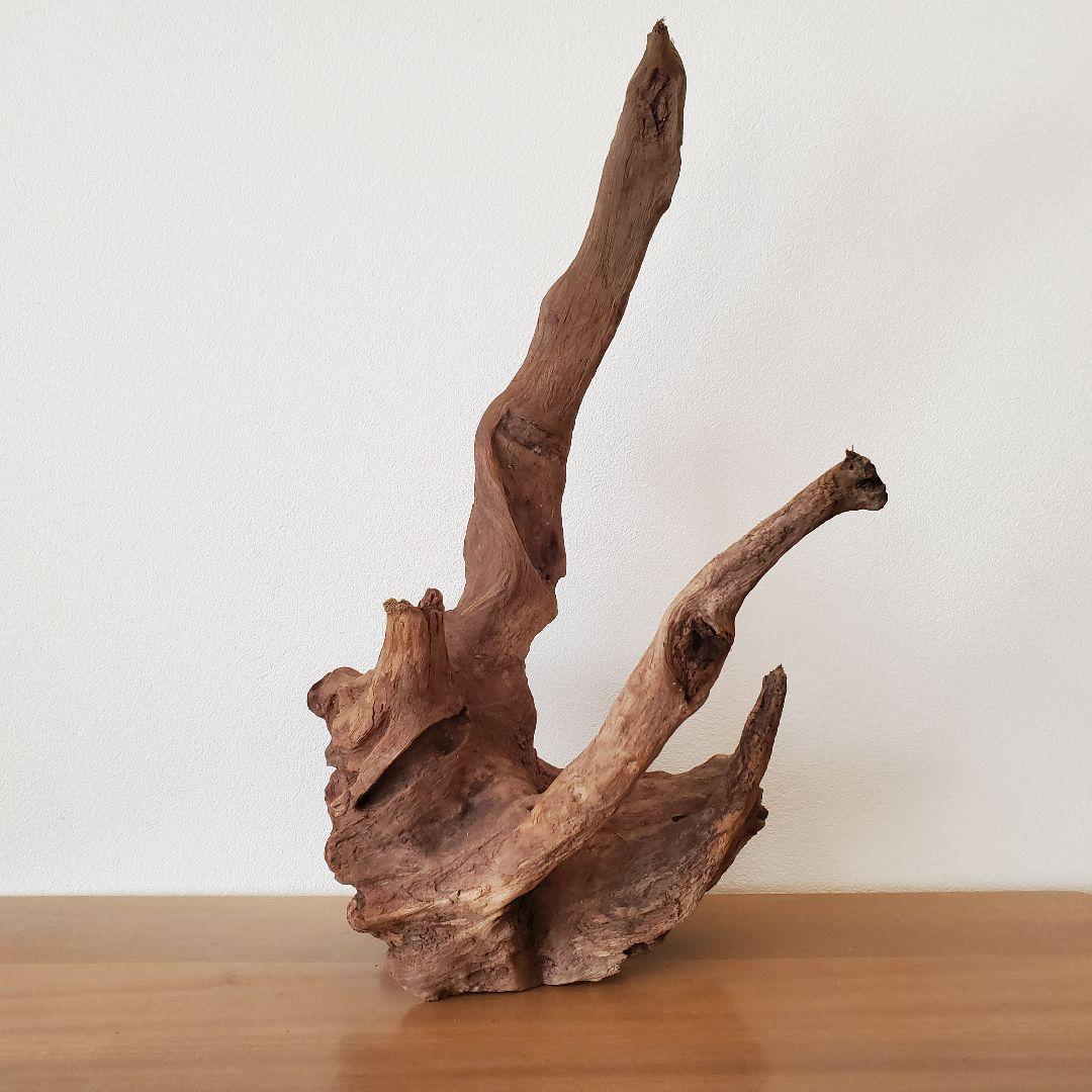 【353】流木　インテリアや爬虫類などに　止まり木　アクアリウム