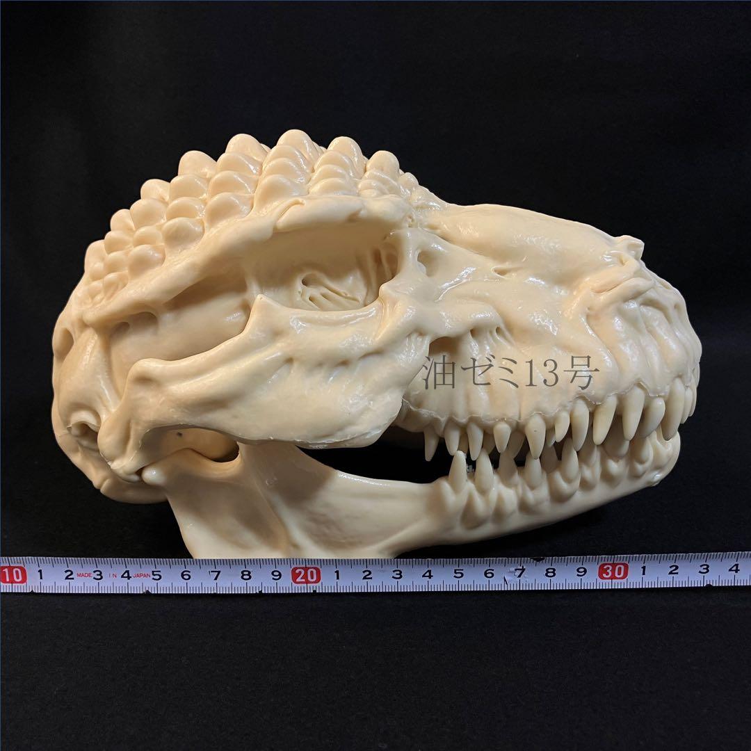 ゴジラスカル　Godzilla skull　ガレージキット　頭骨　頭蓋骨