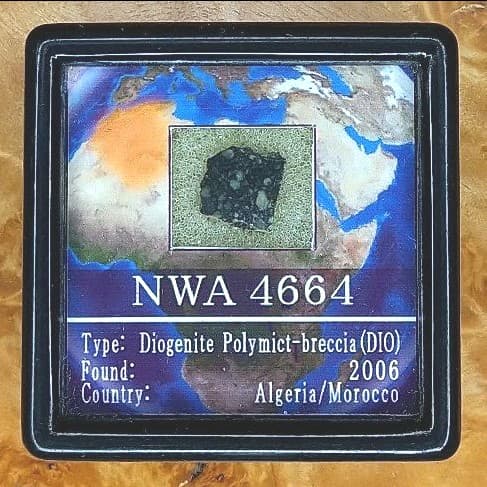 綺麗なダイオジェナイト NWA4664隕石標本