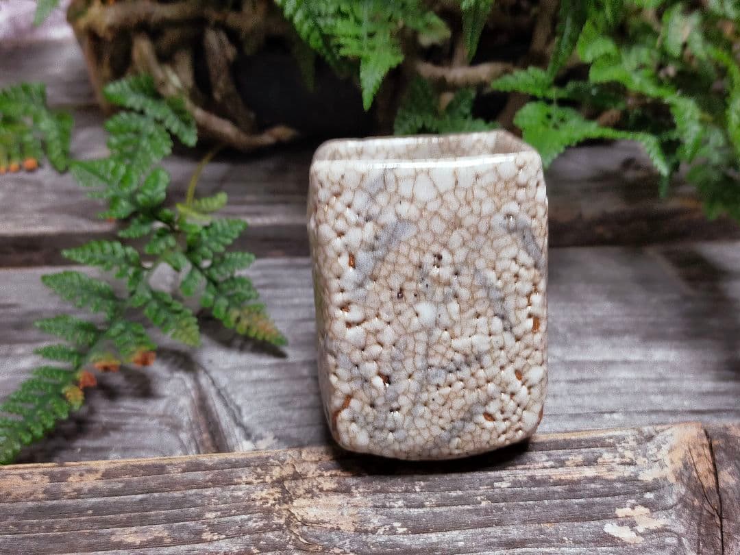 ♥絵志野　ぐい呑み　桐箱付き　㉔　志野　ぐい飲み　骨董品