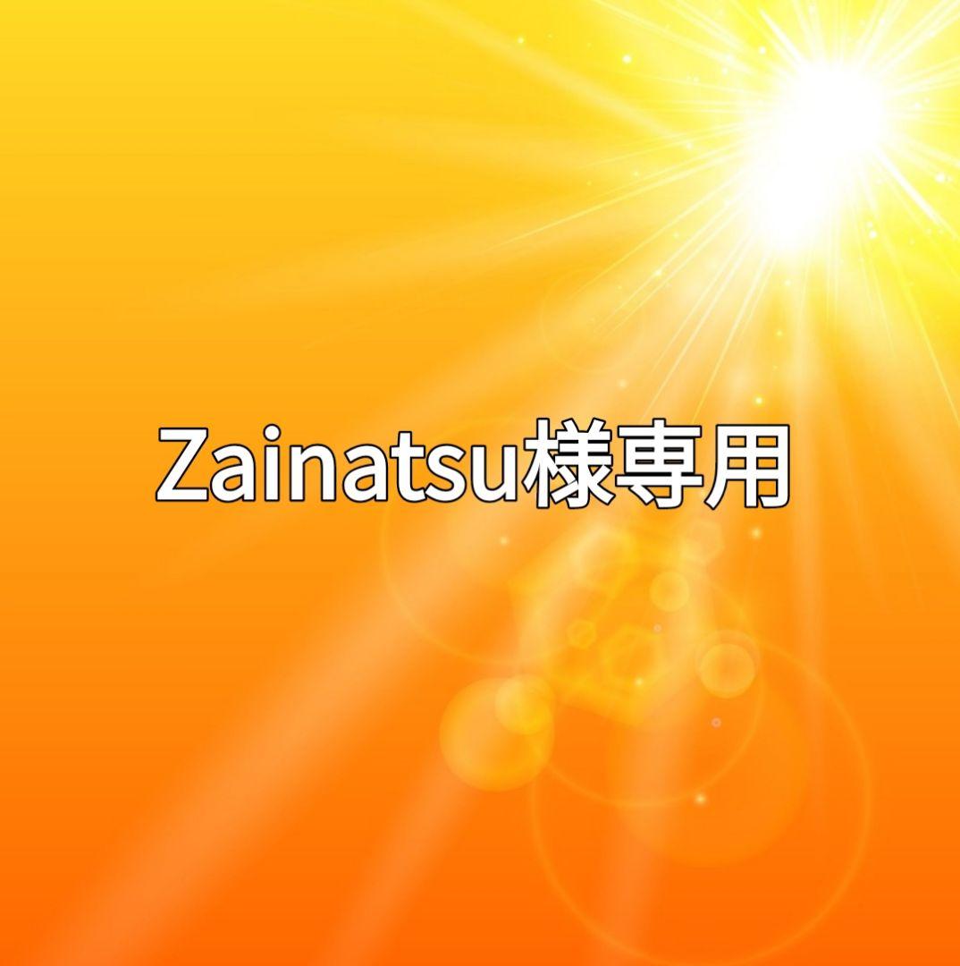 ミュージシャン Zainatsu