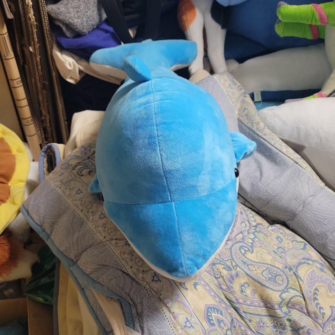 イルカぬいぐるみ