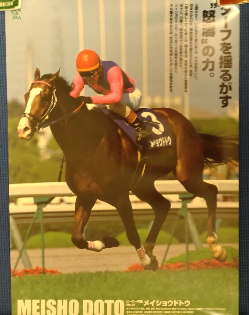 ■超希少 メイショウドトウ ヒーロー列伝 B3ポスター ターフを揺るがす怒涛の力