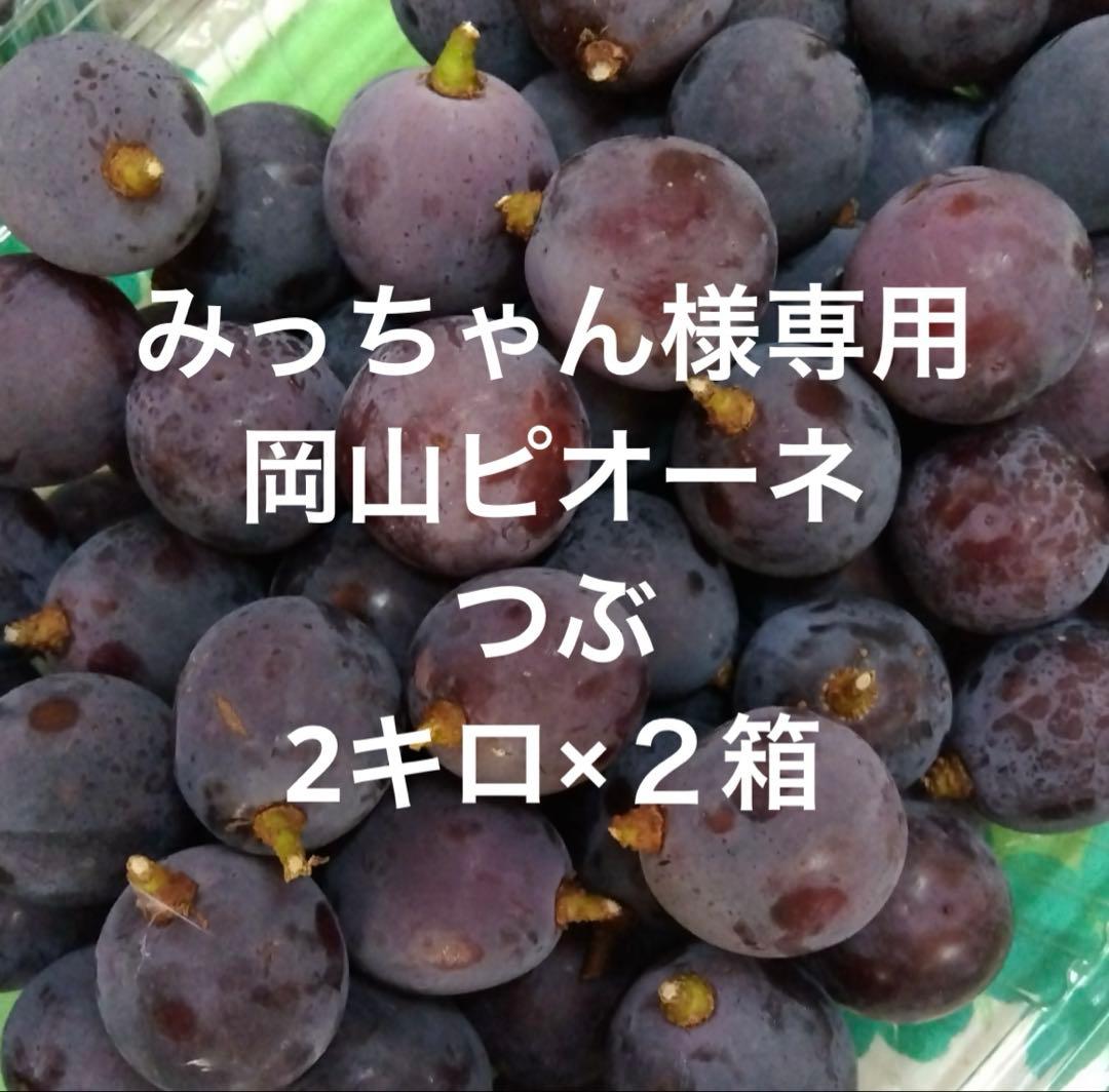 みっちゃん　岡山ピオーネ切り落とし粒2キロ×２箱