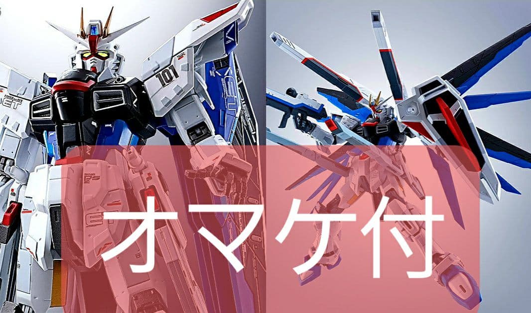 超合金 ROBOT魂 フリーダムVer.GCP　RG MSN-04FF サザビー