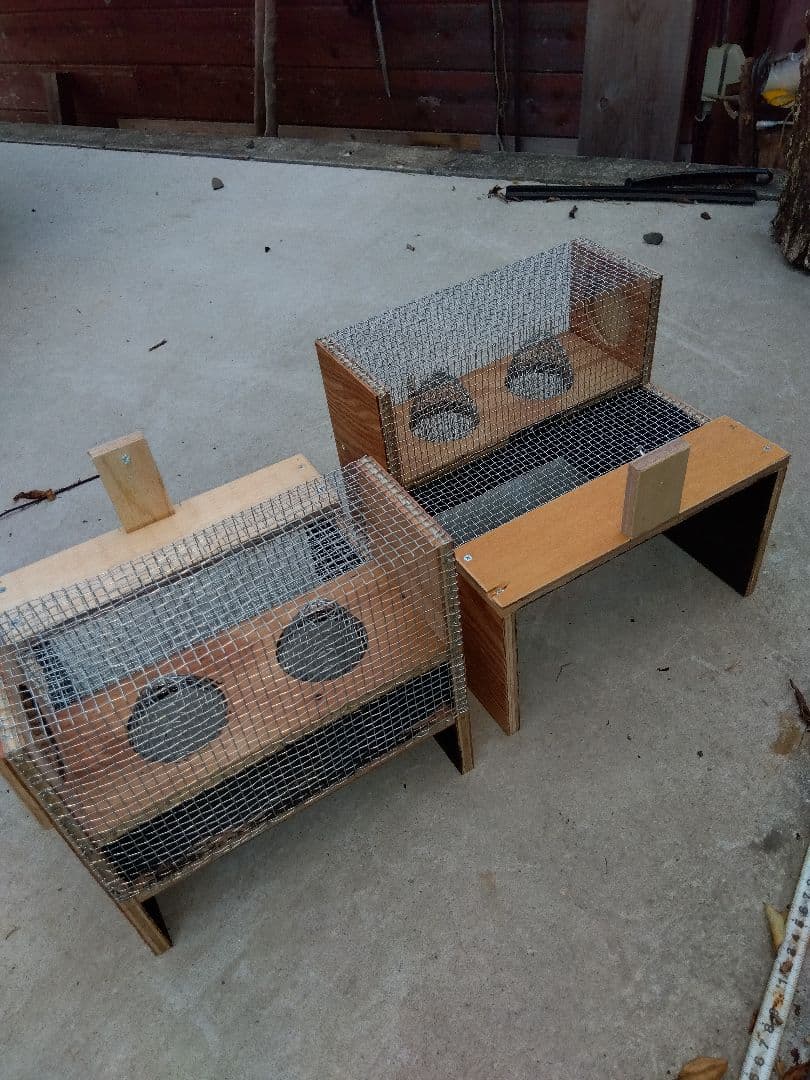 スズメバチトラップ ２個売り 別名 スズメバチ捕獲器 スズメバチ生捕り器