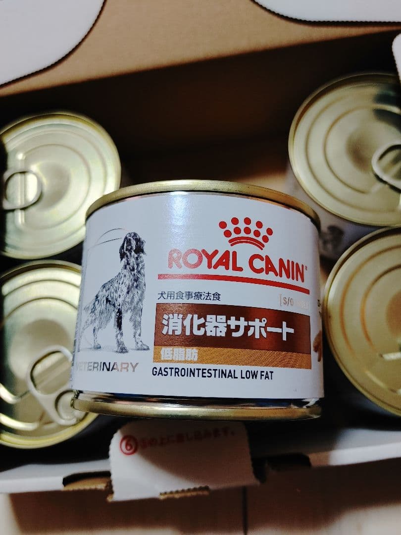  CANIN 消化器サポート 低脂肪 12缶入り×2ケース