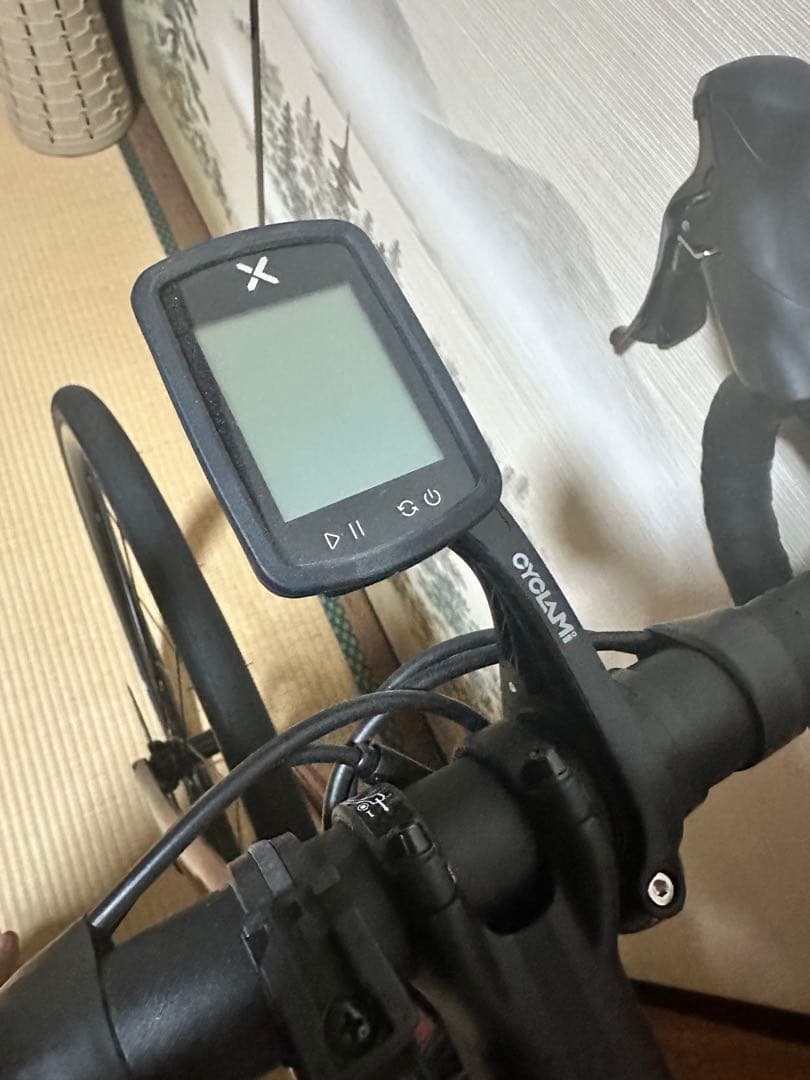 自転車本体 TREK Domane AL2 GEN4