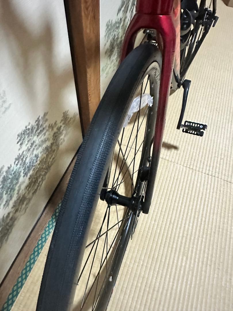 自転車本体 TREK Domane AL2 GEN4