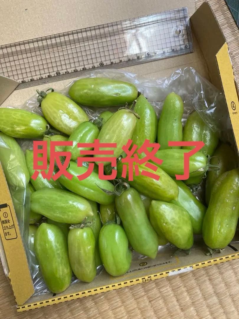 青いトマト　サンマルツァーノ