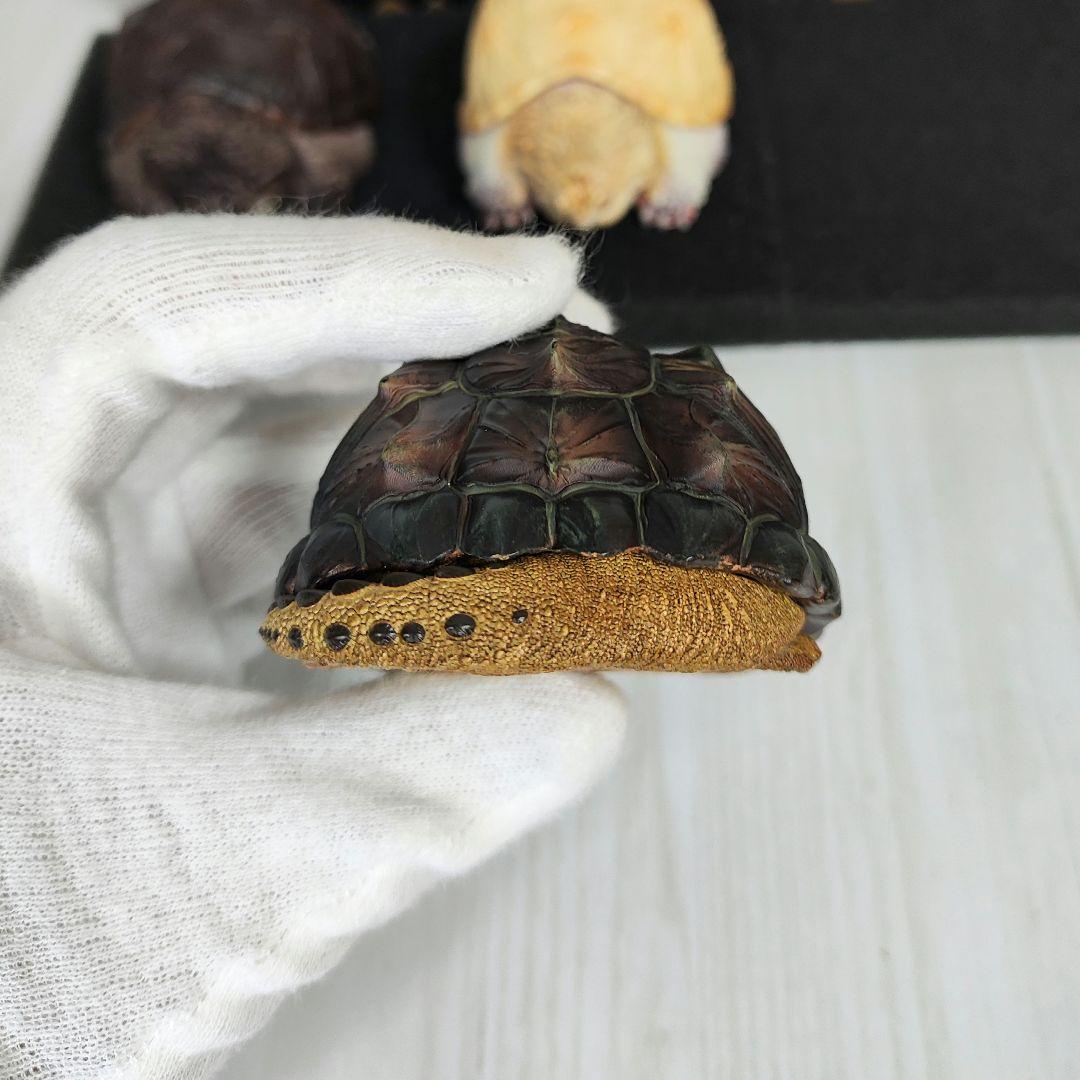 【動物の惑星】★激レア★第1弾亀廃盤品ワニガメ+カミツキガメ!! フィギュア