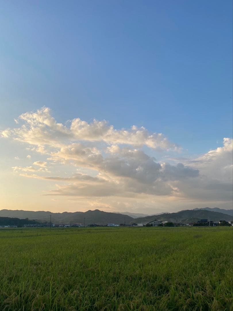 令和7年産新米　岡山県苫田郡産　減農薬栽培にじのきらめき　玄米30kg