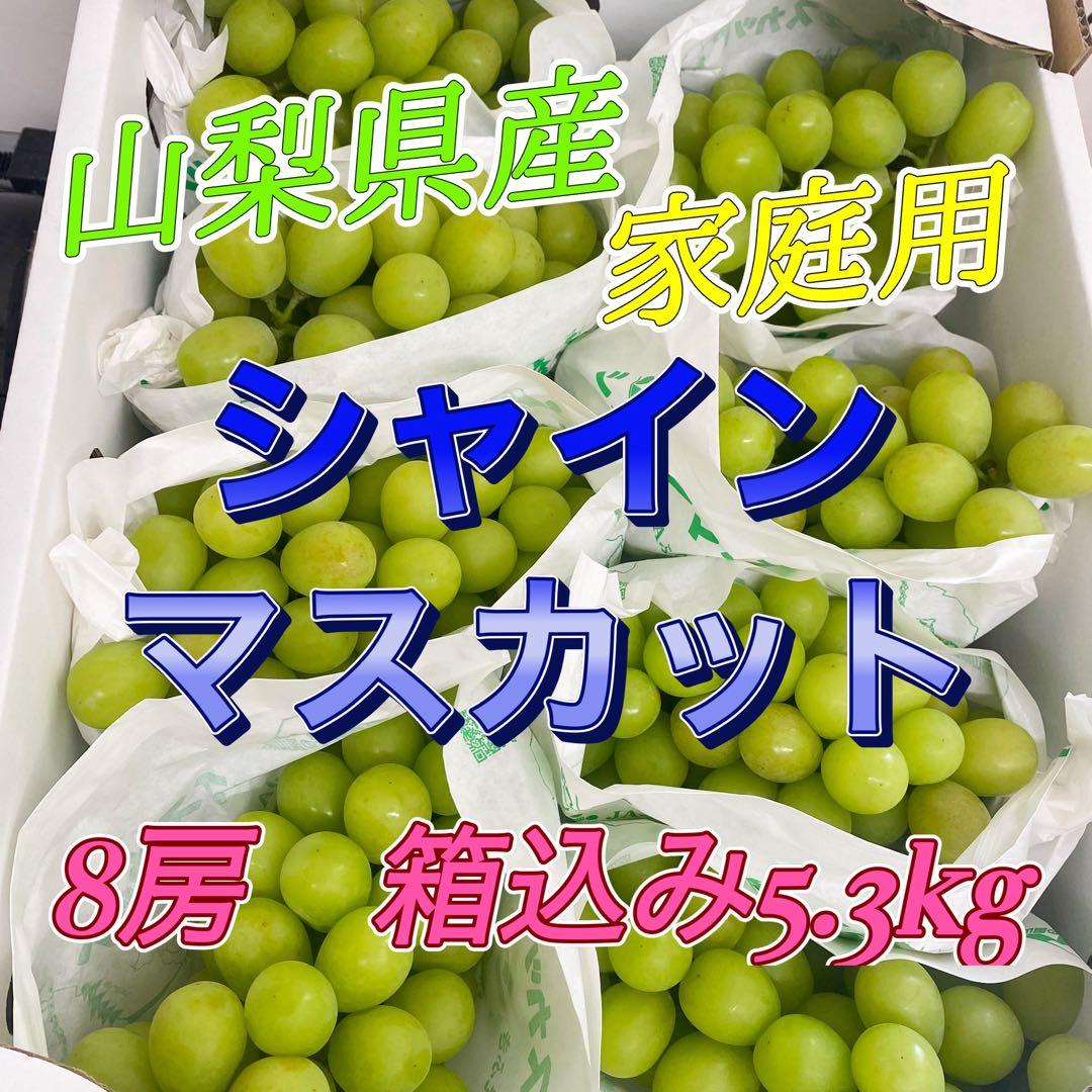 山梨県産　訳あり　家庭用　シャインマスカット　8房　箱込み5.3kg ⑪