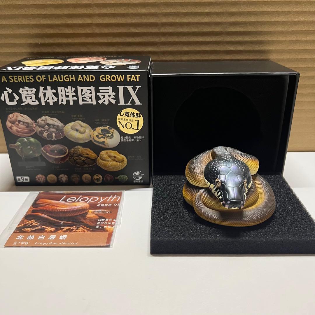 動物の惑星　レア　シロクチニシキヘビ