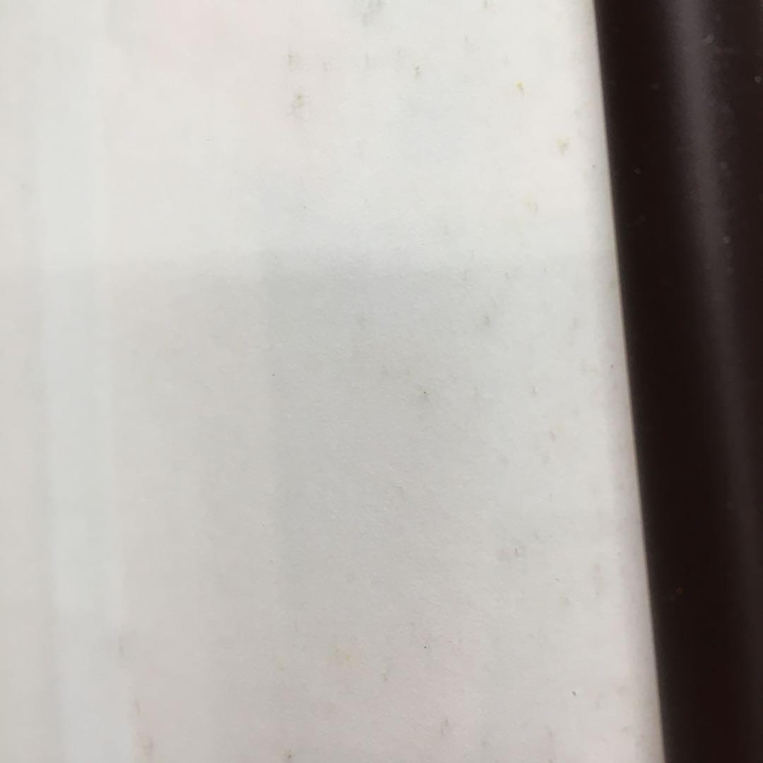 若き日の三人　坂本龍一　細野晴臣　高橋幸宏　YMO再結成