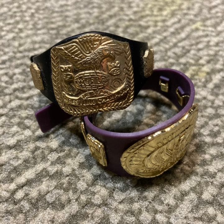 WWE WWF プロレス フィギュア　10体セット